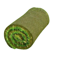 Рулонный газон